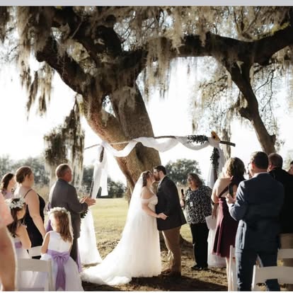 Guests watching a ceremony beneath moss-draped trees